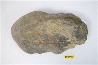 藏品(鯨頭骨部份)的圖片